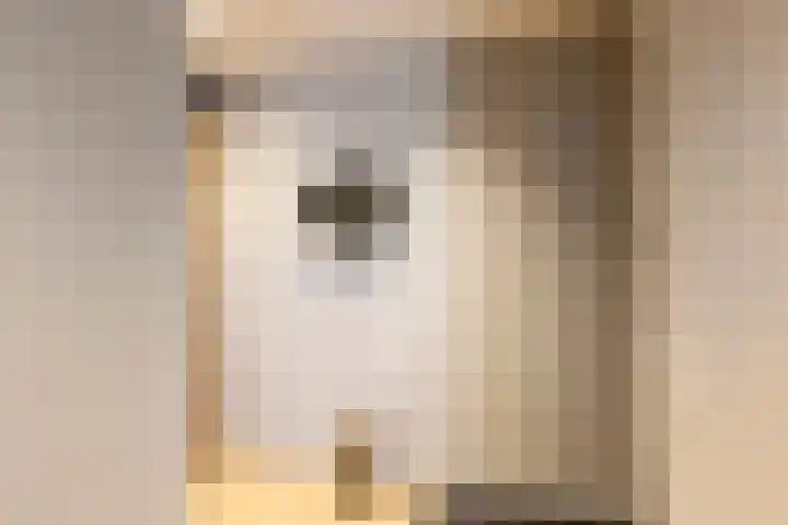 Catharina van Heenvlietstraat 69 Naaldwijk thumbnail 27
