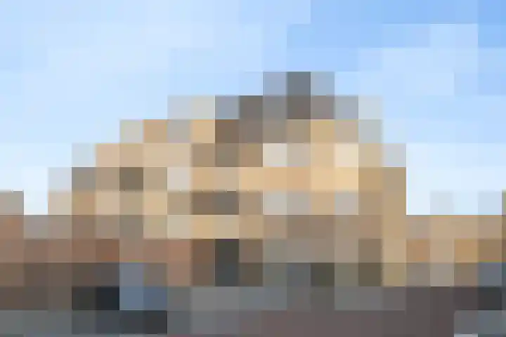 Catharina van Heenvlietstraat 69 Naaldwijk thumbnail 31