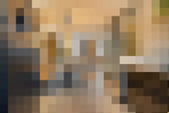 Catharina van Heenvlietstraat 8 Naaldwijk thumbnail 10