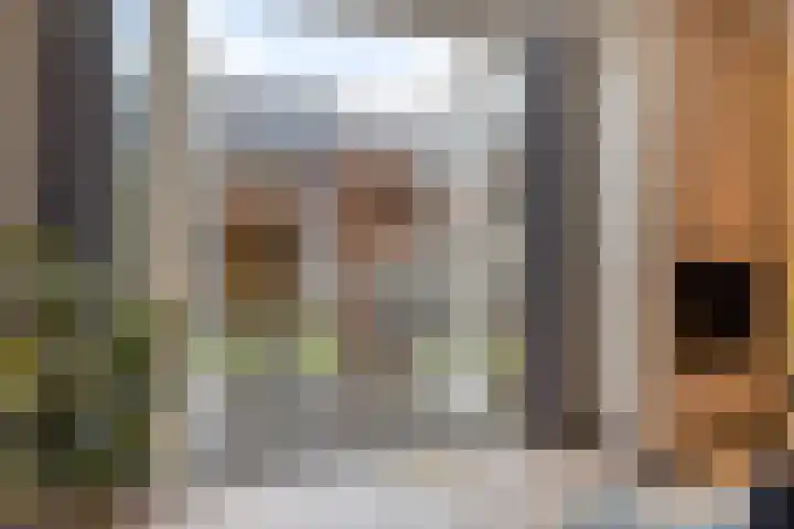 Catharina van Heenvlietstraat 8 Naaldwijk thumbnail 15