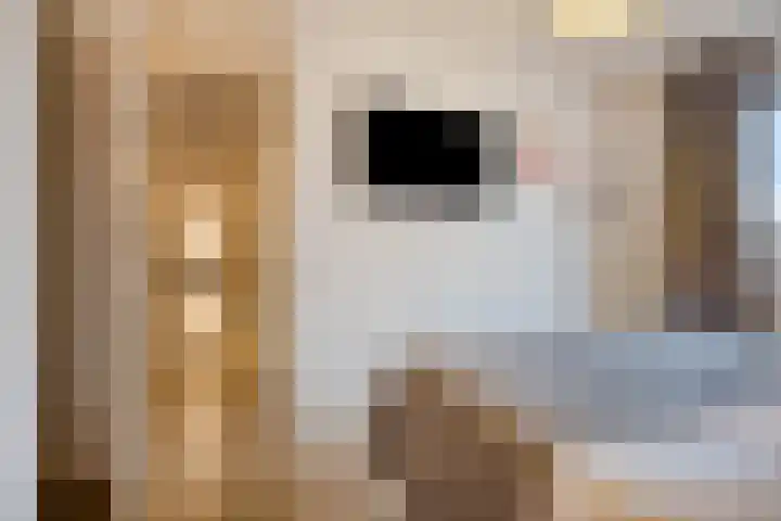 Catharina van Heenvlietstraat 8 Naaldwijk thumbnail 18