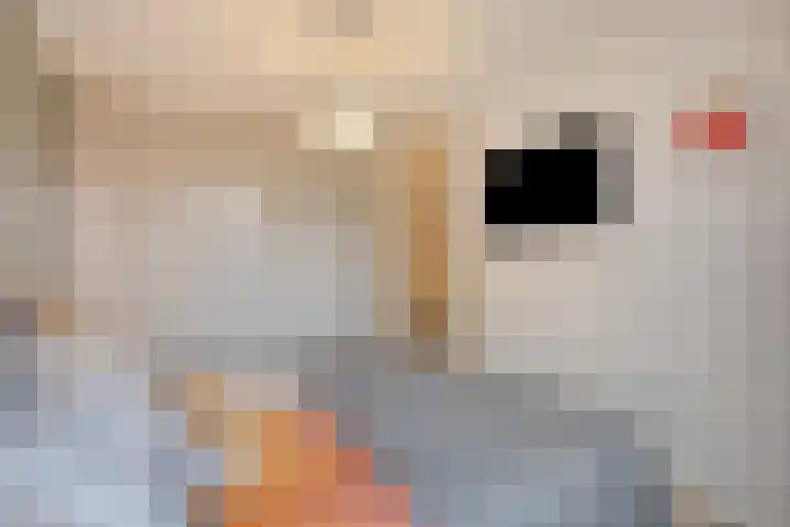 Catharina van Heenvlietstraat 8 Naaldwijk thumbnail 19