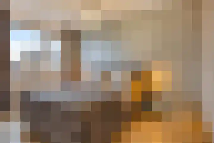 Catharina van Heenvlietstraat 8 Naaldwijk thumbnail 20