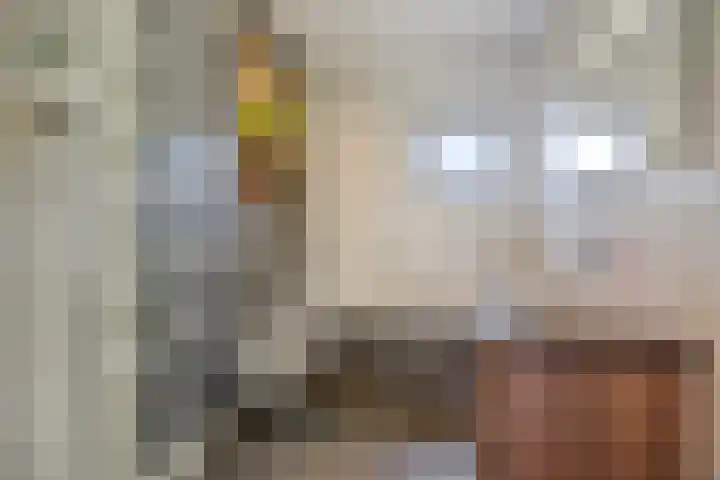 Catharina van Heenvlietstraat 8 Naaldwijk thumbnail 21