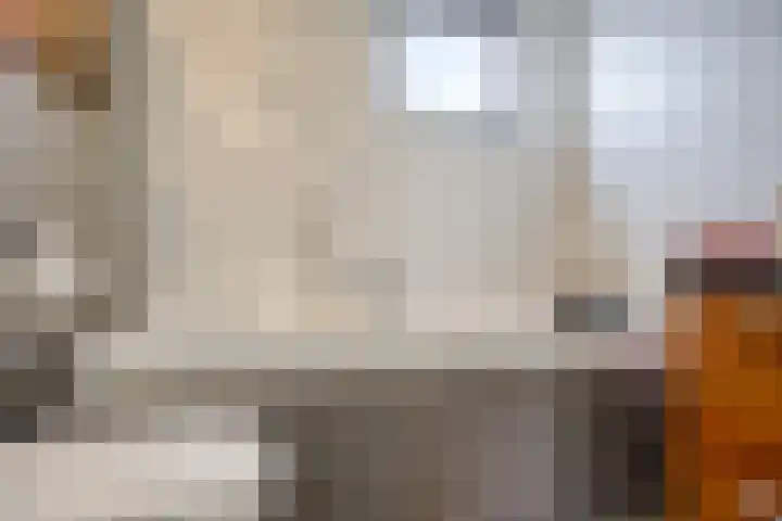 Catharina van Heenvlietstraat 8 Naaldwijk thumbnail 22
