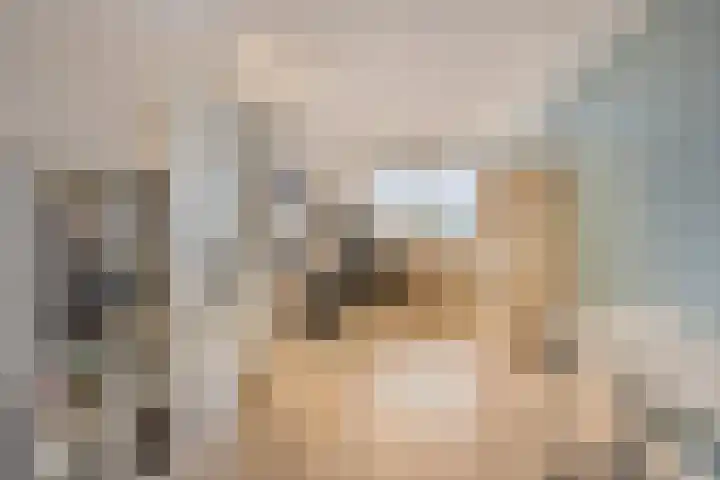 Catharina van Heenvlietstraat 8 Naaldwijk thumbnail 30