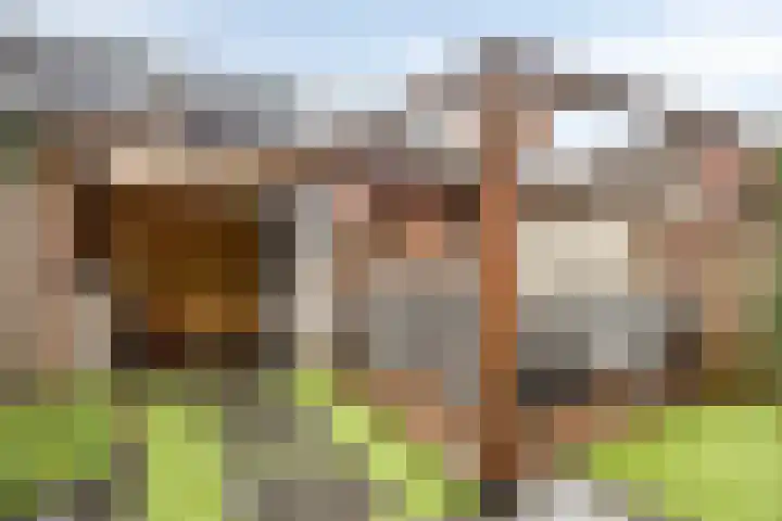 Catharina van Heenvlietstraat 8 Naaldwijk thumbnail 32