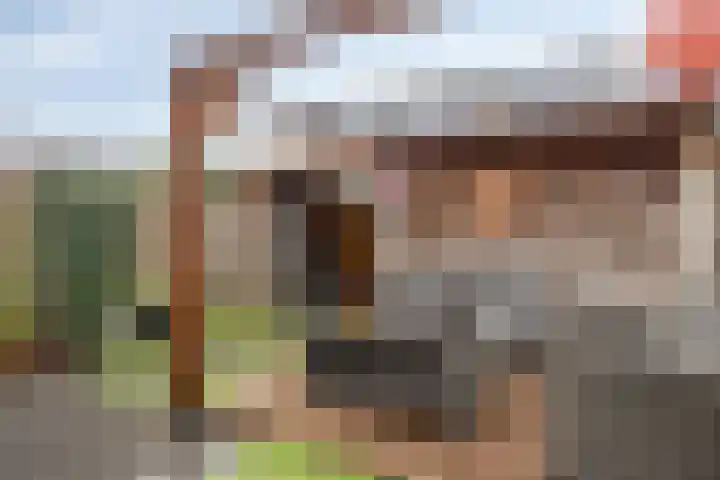 Catharina van Heenvlietstraat 8 Naaldwijk thumbnail 33