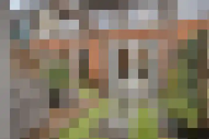 Catharina van Heenvlietstraat 8 Naaldwijk thumbnail 34