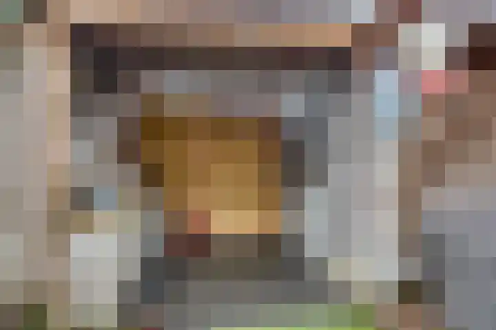 Catharina van Heenvlietstraat 8 Naaldwijk thumbnail 35