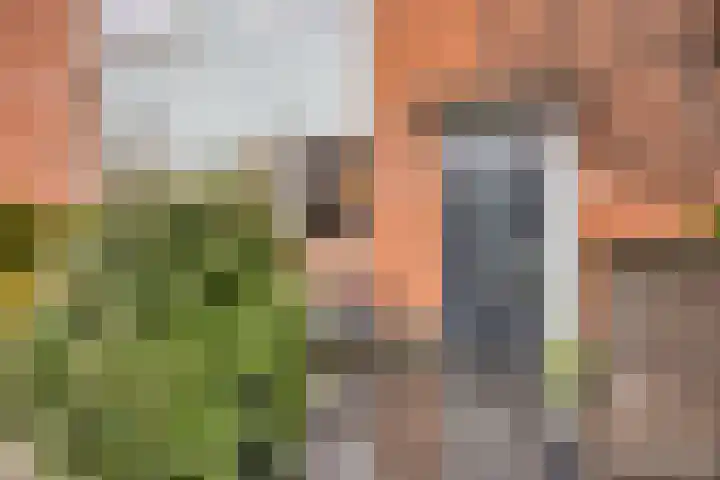 Catharina van Heenvlietstraat 8 Naaldwijk thumbnail 38