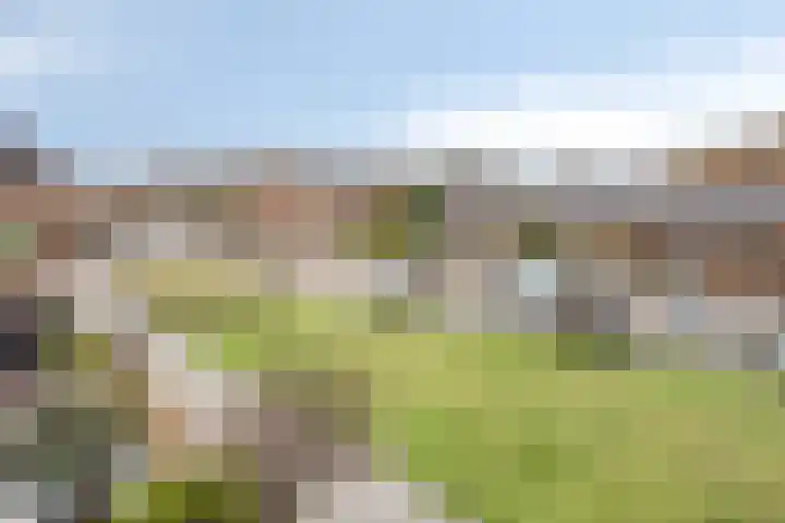 Catharina van Heenvlietstraat 8 Naaldwijk thumbnail 39