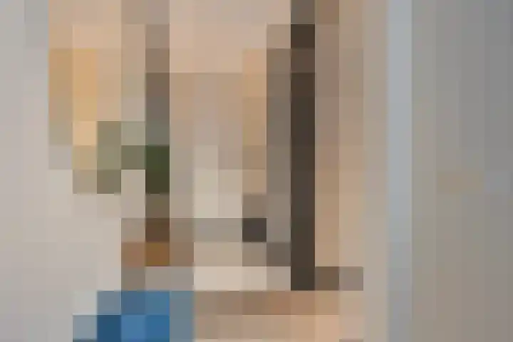 Catharina van Heenvlietstraat 8 Naaldwijk thumbnail 4