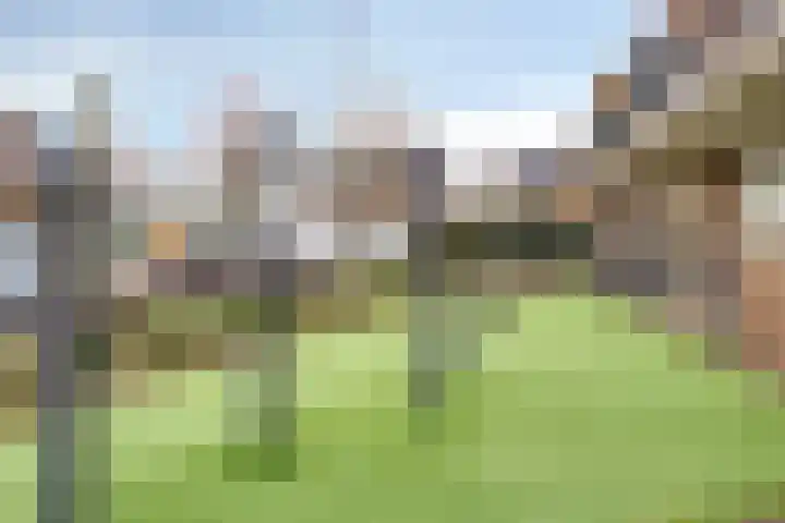 Catharina van Heenvlietstraat 8 Naaldwijk thumbnail 40