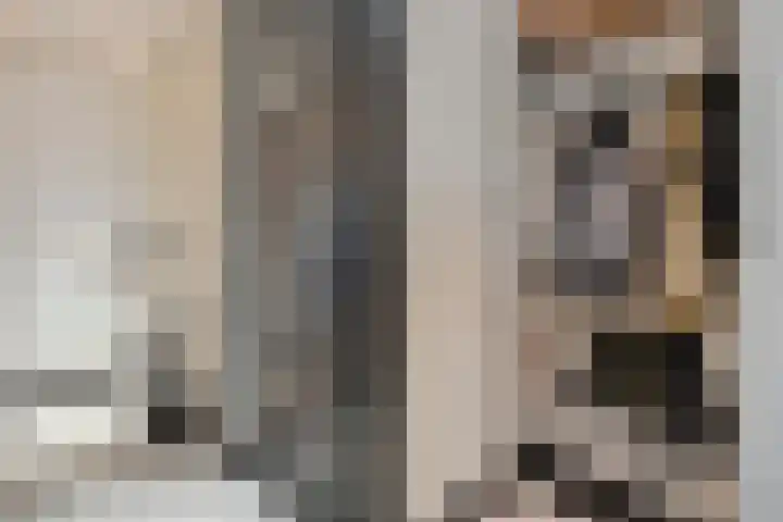 Catharina van Heenvlietstraat 8 Naaldwijk thumbnail 6