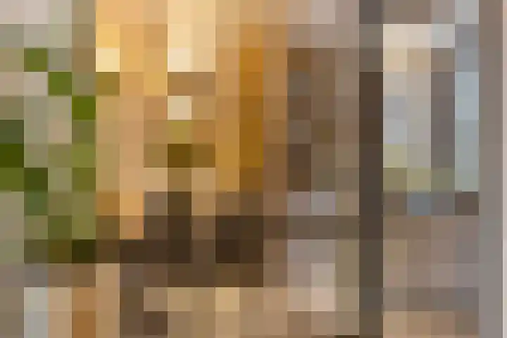 Catharina van Heenvlietstraat 8 Naaldwijk thumbnail 7