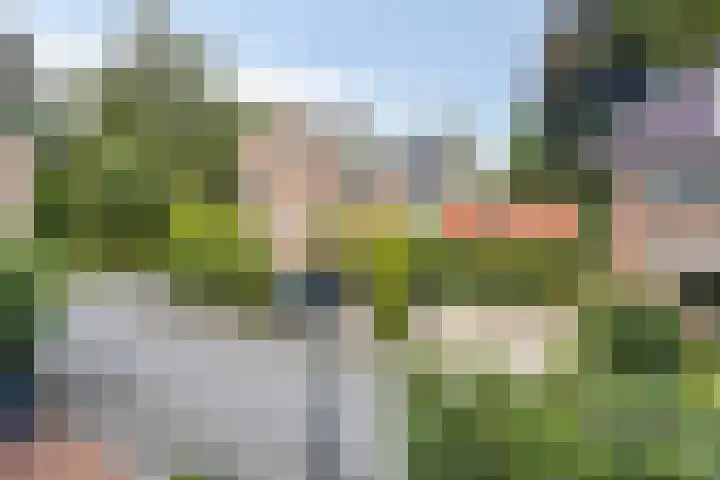 Catharina van Reesstraat 2 Apeldoorn thumbnail 46