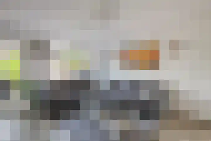 Catharina van Rennes erf 8 Heerhugowaard thumbnail 10