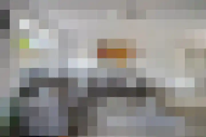 Catharina van Rennes erf 8 Heerhugowaard thumbnail 12
