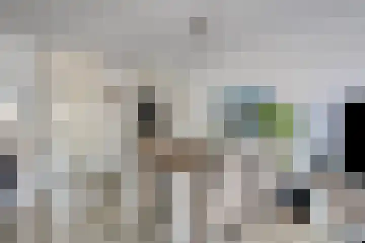 Catharina van Rennes erf 8 Heerhugowaard thumbnail 13
