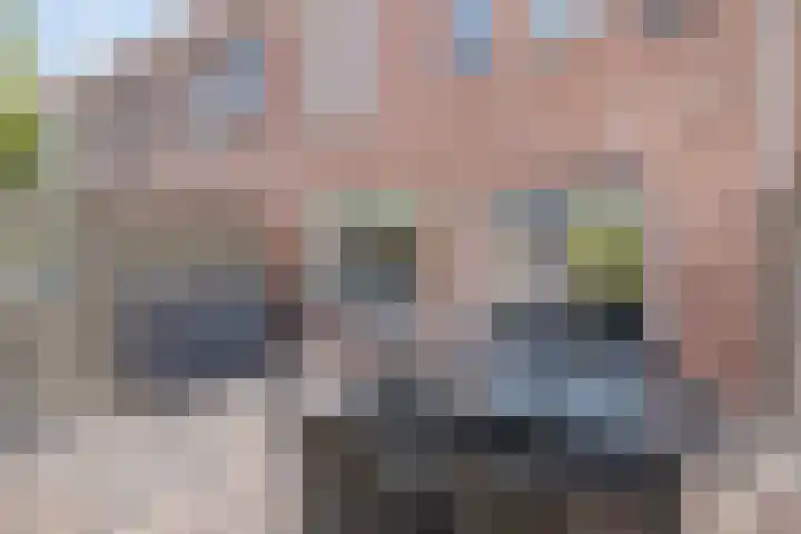 Catharina van Rennes erf 8 Heerhugowaard thumbnail 31