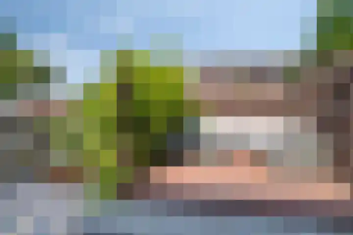 Catharina van Rennes erf 8 Heerhugowaard thumbnail 32
