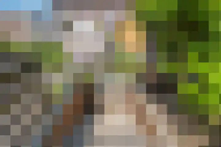 Catharina van Rennes erf 8 Heerhugowaard thumbnail 33