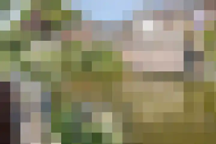 Catharina van Rennes erf 8 Heerhugowaard thumbnail 34
