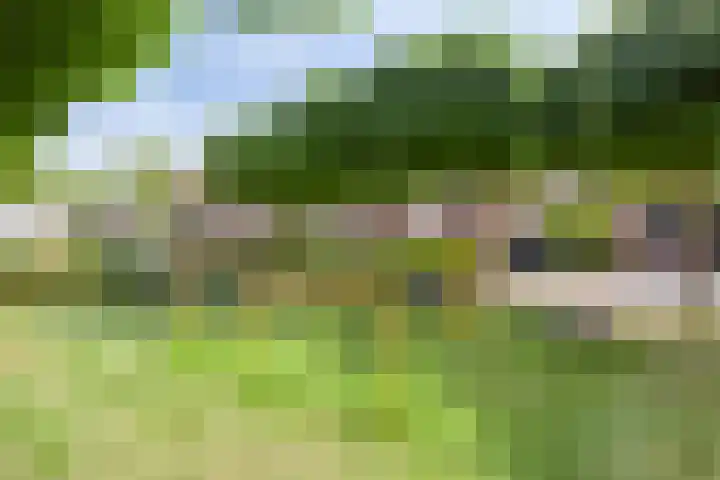 Catharina van Rennes erf 8 Heerhugowaard thumbnail 37