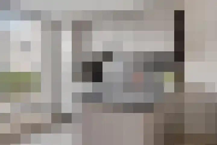 Catharina van Renneshof 14 Uithoorn thumbnail 11