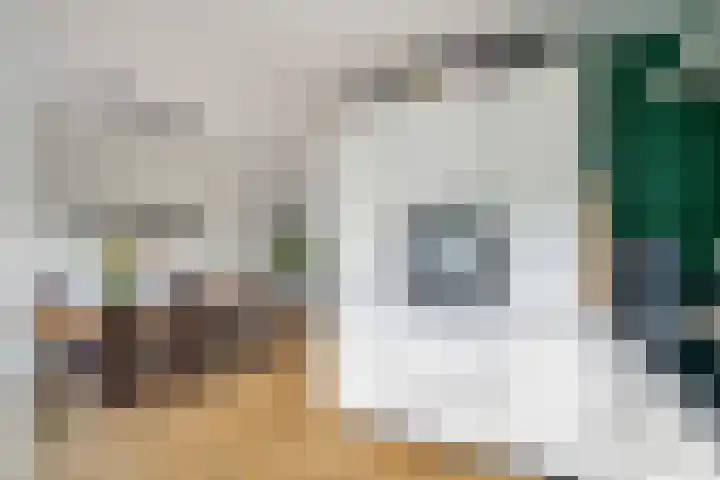 Catharina van Renneslaan 10 Utrecht thumbnail 10