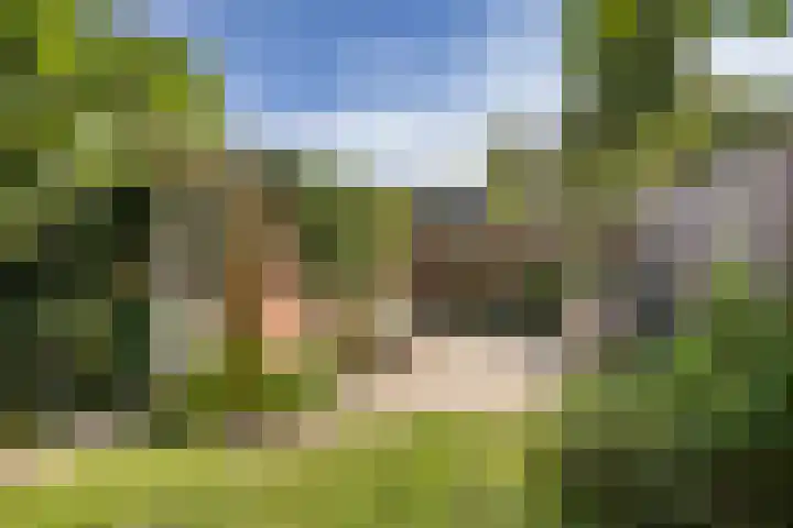 Catharina van Renneslaan 10 Utrecht thumbnail 12