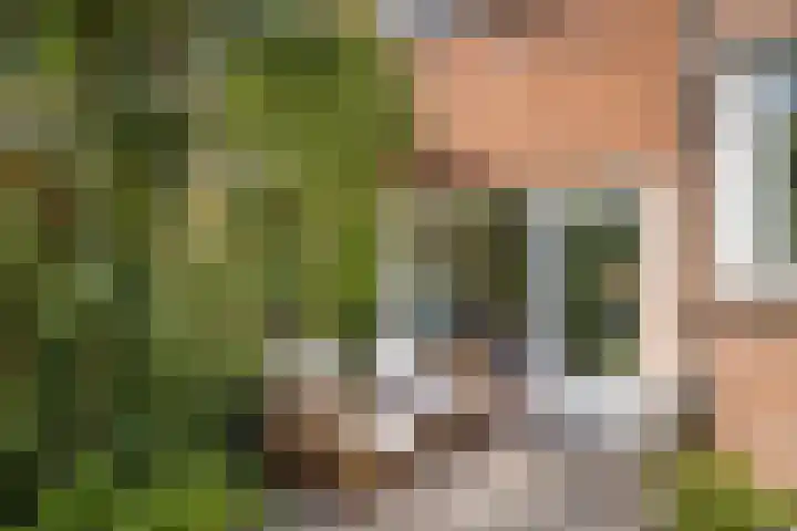 Catharina van Renneslaan 10 Utrecht thumbnail 14