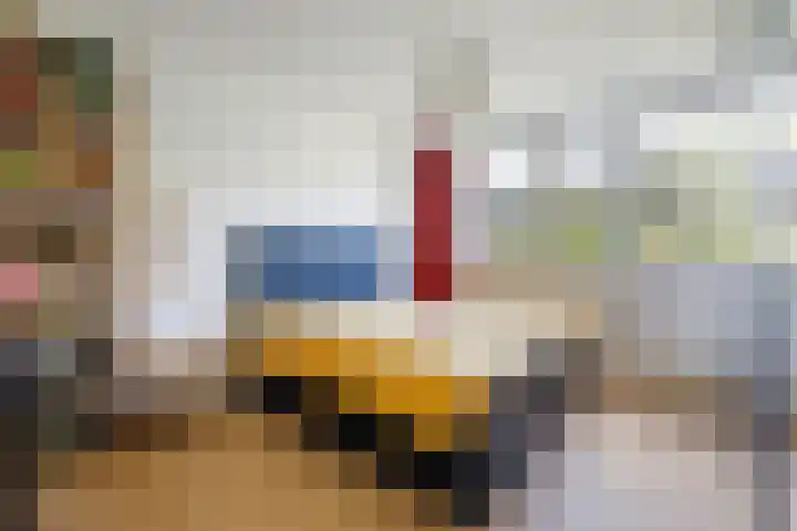 Catharina van Renneslaan 10 Utrecht thumbnail 18