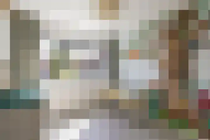 Catharina van Renneslaan 10 Utrecht thumbnail 21