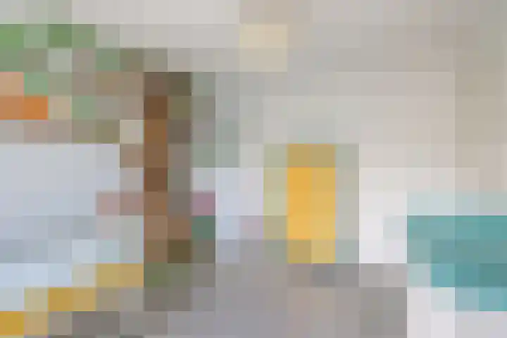 Catharina van Renneslaan 10 Utrecht thumbnail 23