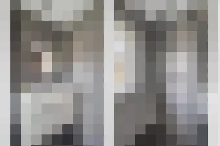 Catharina van Renneslaan 10 Utrecht thumbnail 28
