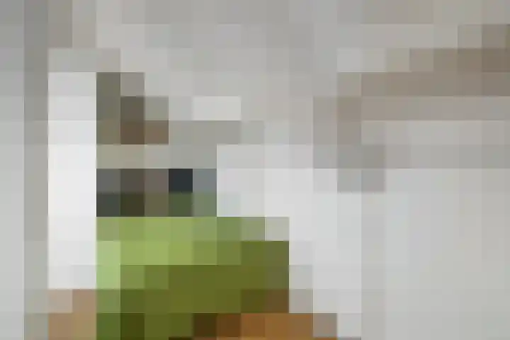 Catharina van Renneslaan 10 Utrecht thumbnail 30