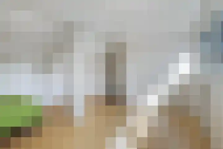 Catharina van Renneslaan 10 Utrecht thumbnail 31