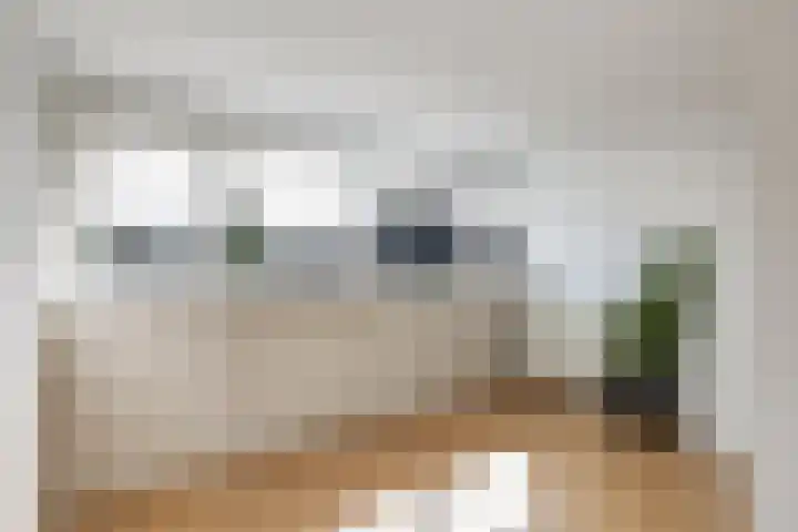 Catharina van Renneslaan 10 Utrecht thumbnail 32