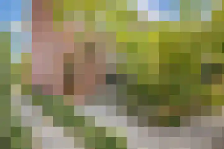 Catharina van Renneslaan 10 Utrecht thumbnail 33
