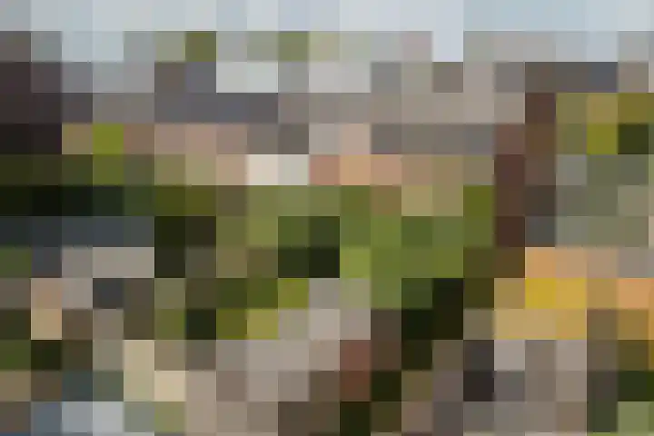 Catharina van Renneslaan 10 Utrecht thumbnail 34