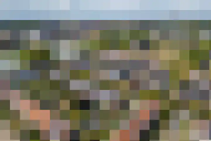 Catharina van Renneslaan 10 Utrecht thumbnail 35