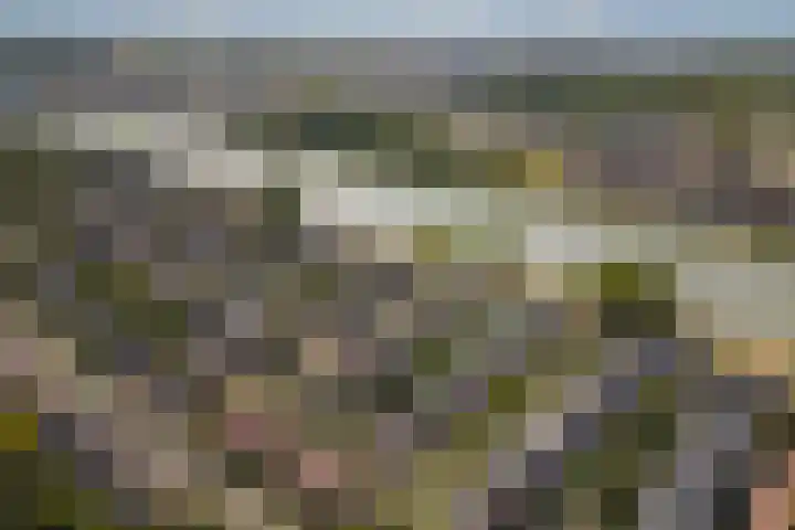 Catharina van Renneslaan 10 Utrecht thumbnail 36
