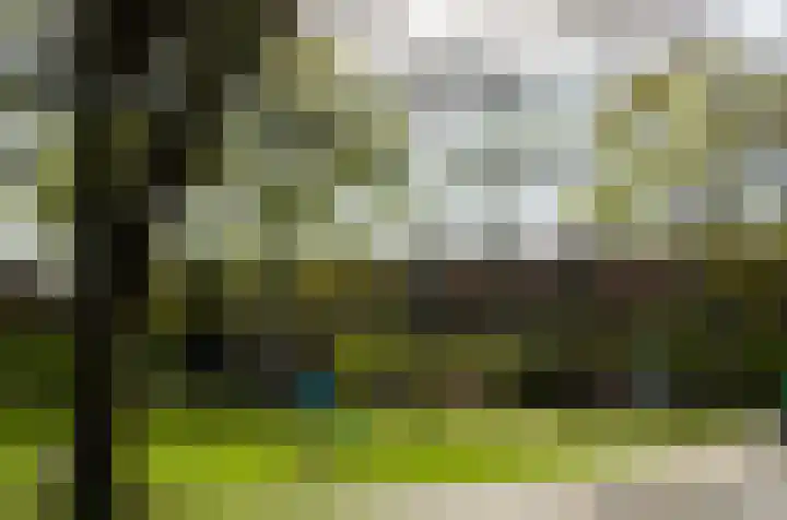 Catharina van Renneslaan 10 Utrecht thumbnail 38