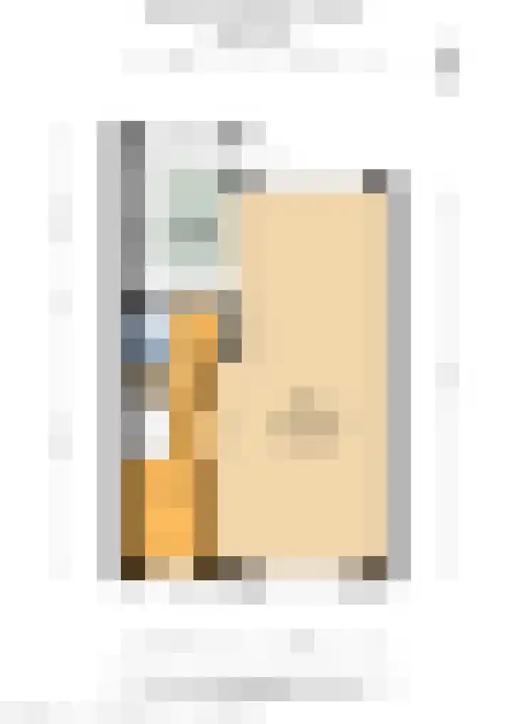 Catharina van Renneslaan 10 Utrecht thumbnail 39