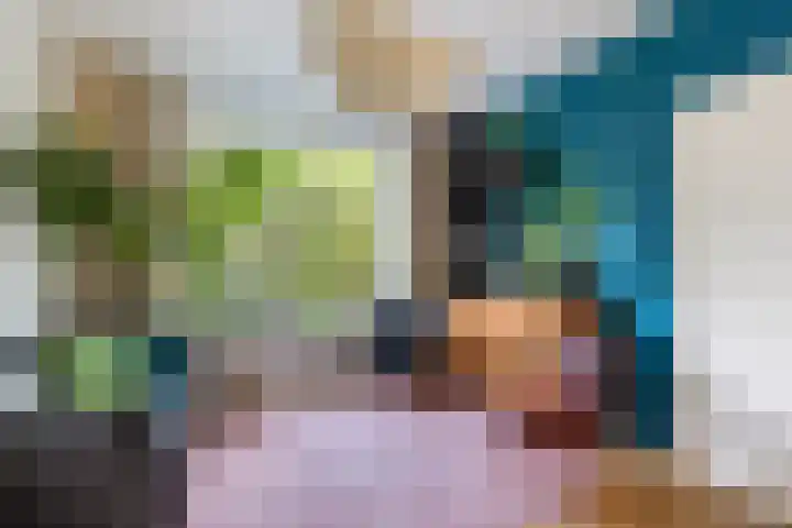 Catharina van Renneslaan 10 Utrecht thumbnail 4
