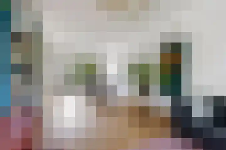 Catharina van Renneslaan 10 Utrecht thumbnail 5
