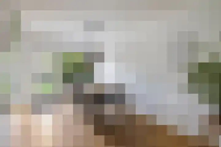 Catharina van Renneslaan 10 Utrecht thumbnail 6