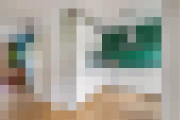 Catharina van Renneslaan 10 Utrecht thumbnail 7